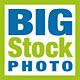BigStockPhoto logo