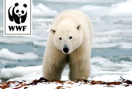 Save the World: Let’s start with the polar bears first.