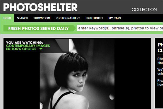 The day I found out the PhotoShelter Collection died